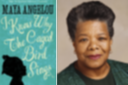 Maya angelou i know why the caged bird sings book review