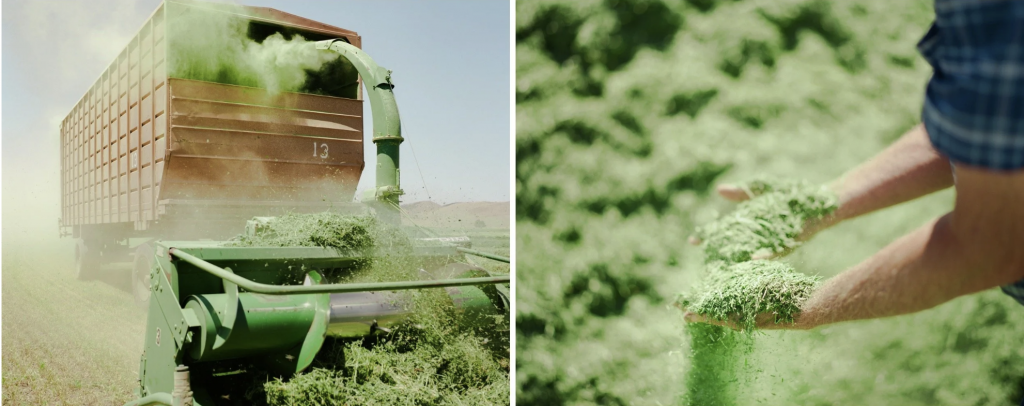 Screenshot 2025 10 08 at 1 11 59 PM