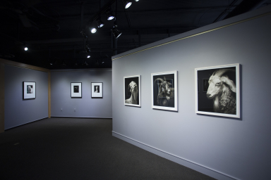 Horan Installation03