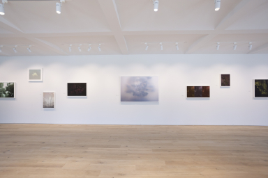 20180803 Alice Hargrave Installation 007