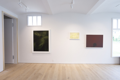 20180803 Alice Hargrave Installation 008