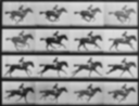 04 Eadweard Muybridge Horsein Motion
