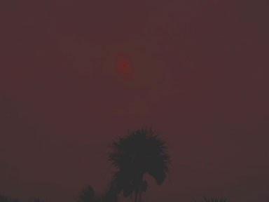 Hargrave Red Moon