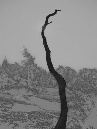 Francisco Gonzalez Camacho 9