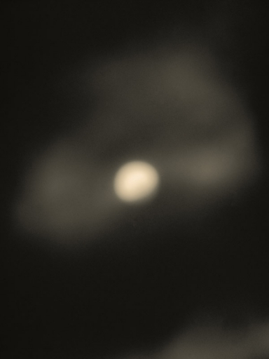 1234 162