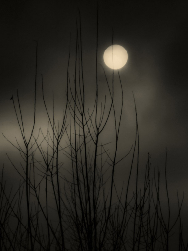 Francisco Gonzalez Camacho Elsewhere 3