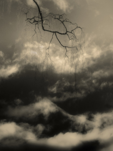 Francisco Gonzalez Camacho Elsewhere 7