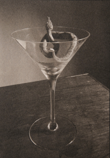 Copperhead in Martini Glass 1999