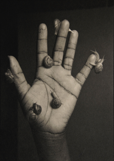 Snail Hand 1995