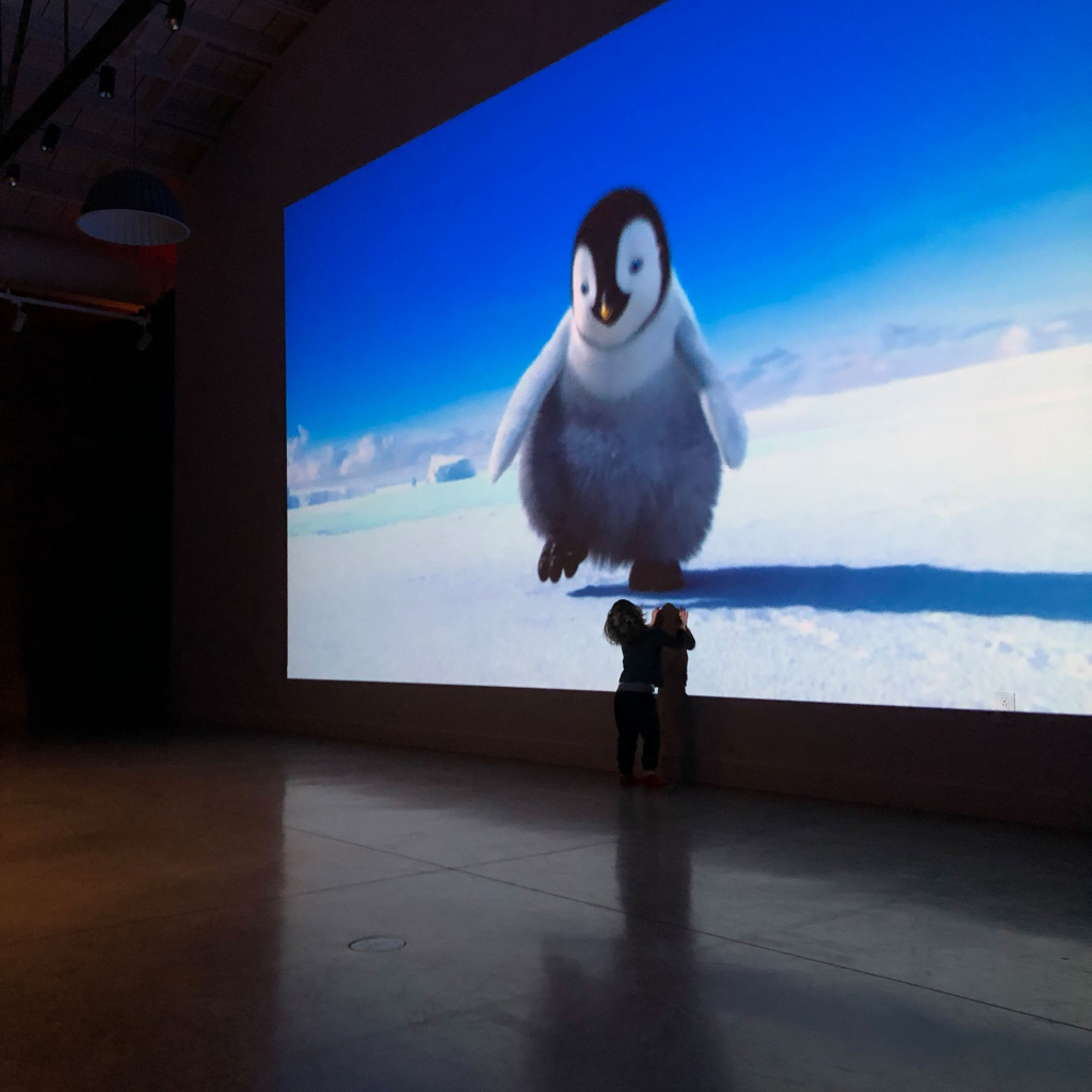IMG 9619 WEB